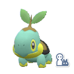 #387 Turtwig (Marked)